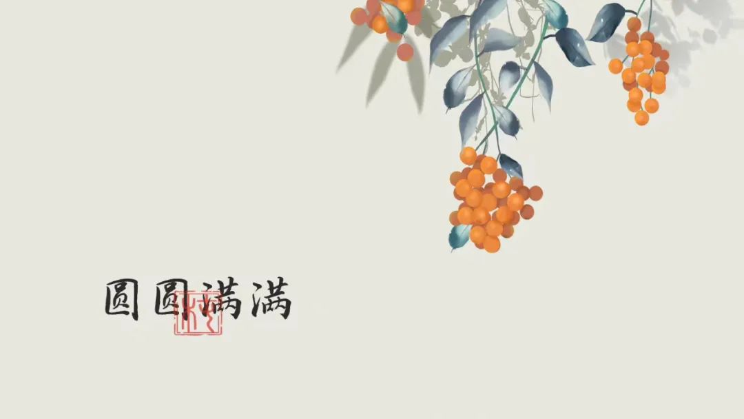 前端响应式网站设计